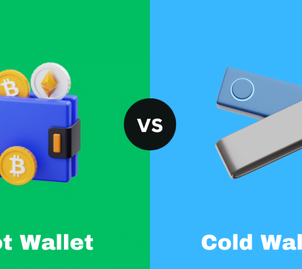 What Is the Difference Between Hot Wallets and Cold Wallets?