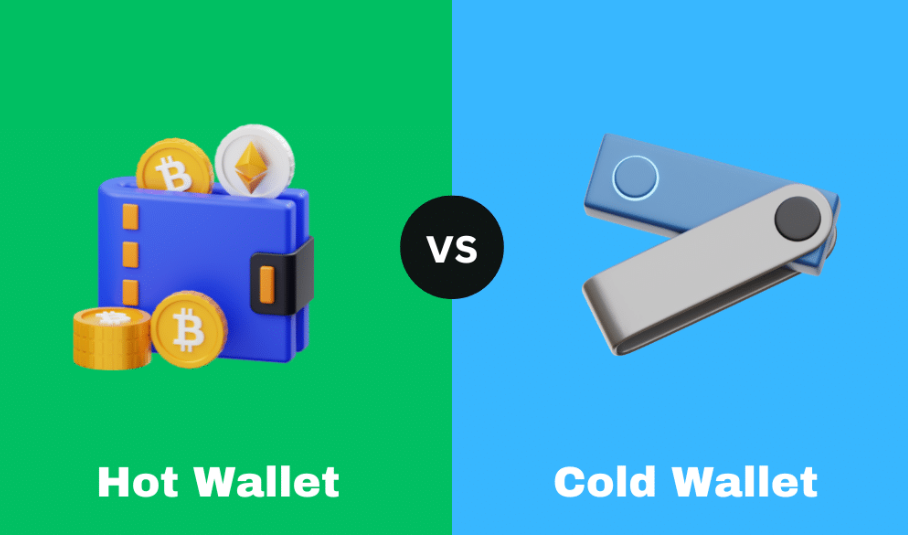What Is the Difference Between Hot Wallets and Cold Wallets?